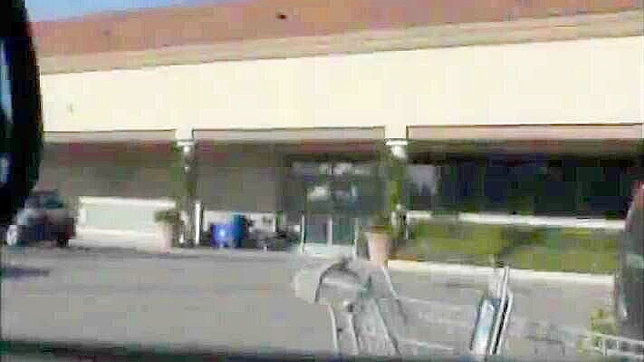 疯魔欲望：亚洲主人奴役的白人美女