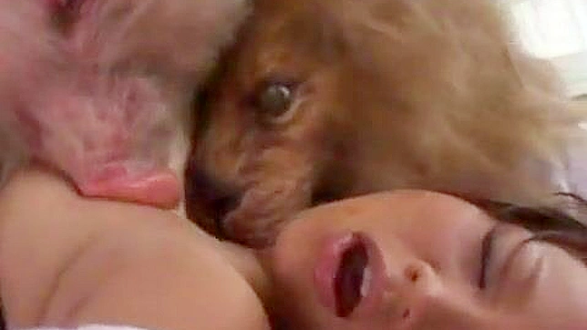 亚洲色情明星野兽幻想狂热