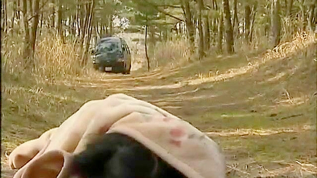 在森林慢跑时被捕猎 —一部亚洲成人视频