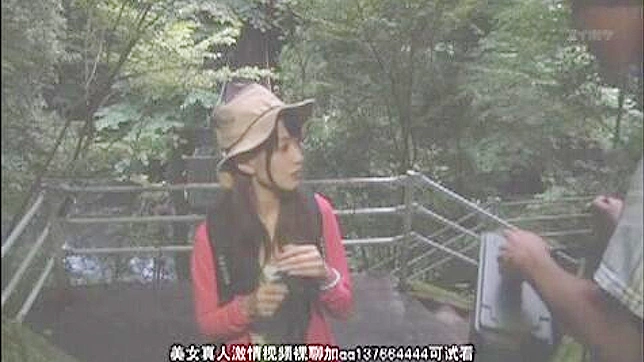 日本山中的狂野邂逅