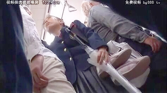 亚洲校花公交车上当众羞辱体验