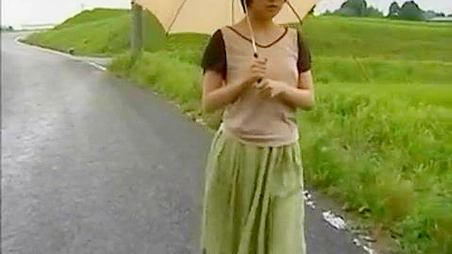 乡村背叛梦：与邻家少女的禁忌之恋在日式村庄