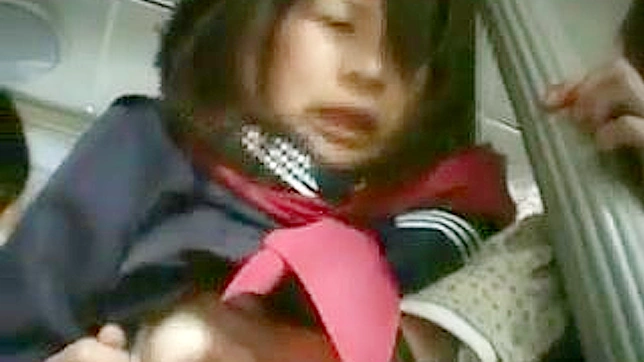 清纯女学生在公车上激情梦露私密欲望