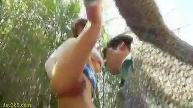湖畔激情爱恋—亚裔情侣的亲密时光