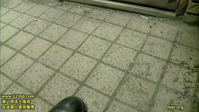 蕾丝中的自慰—老板的秘密欲望