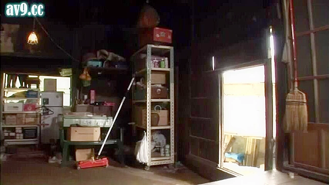 探索农场妻子的秘密生活：激情的恋情