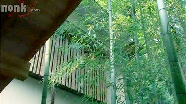 丰满熟女田中瞳在温泉里被狠狠操了