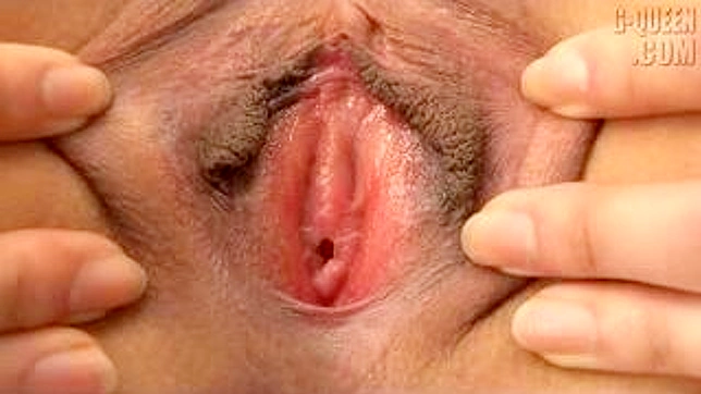 双性恋少女小野寺梓在日本的火热旅程