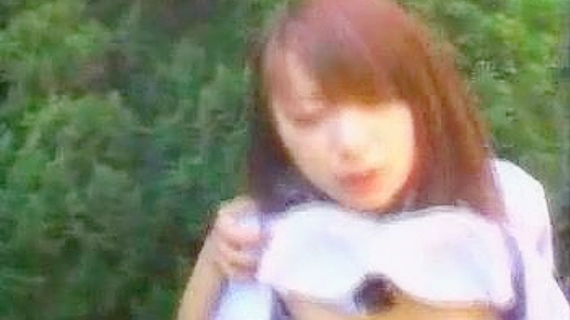 公园里的激情邂逅—两位同学的秘密恋情