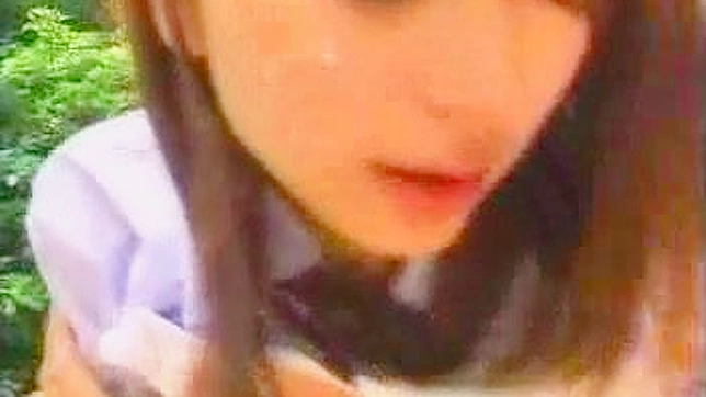 公园里的激情邂逅—两位同学的秘密恋情