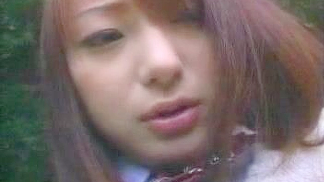 公园里的激情邂逅—两位同学的秘密恋情