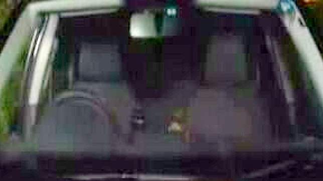 东京秘密乐趣—JAV成人视频库