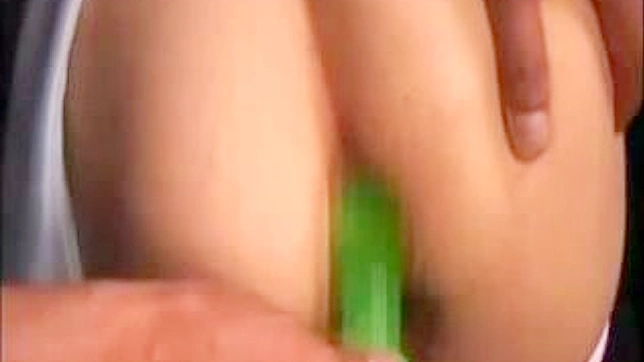 东京秘密乐趣—JAV成人视频库