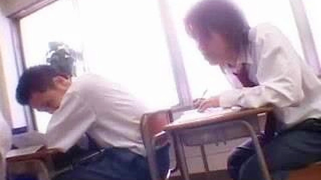 神家姫的感官教育课程