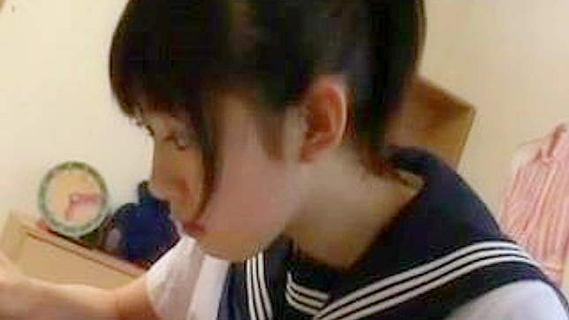 学习伙伴的无聊会面变成狂野乐趣之夜