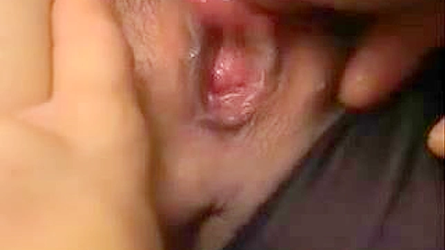 日本情色视频：摸嫂子奶子的下场可不妙