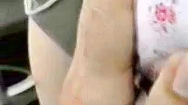 胖妹日本疯狂冒险记