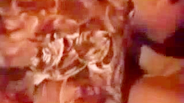 与亚洲女侍的梦幻性爱体验