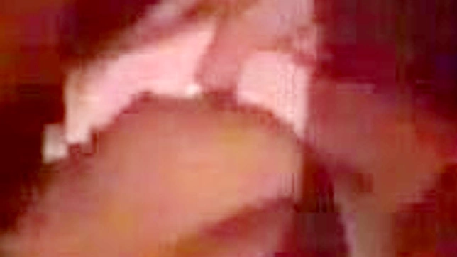 与亚洲女侍的梦幻性爱体验