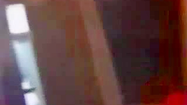 与亚洲女侍的梦幻性爱体验