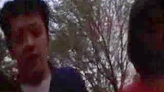 日本幻想四重奏—一场噩梦般的度假之旅