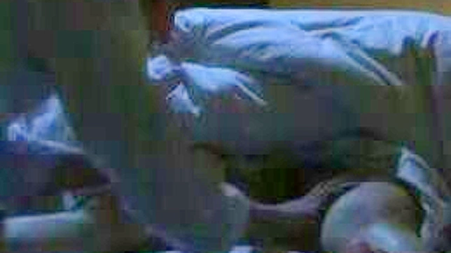 狡猾的儿子给熟睡的母亲下药，实现他的幻想