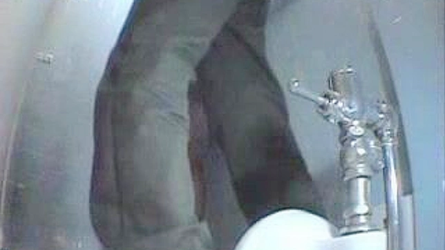 日本厕所挑逗 —JAV XXX视频在线观看