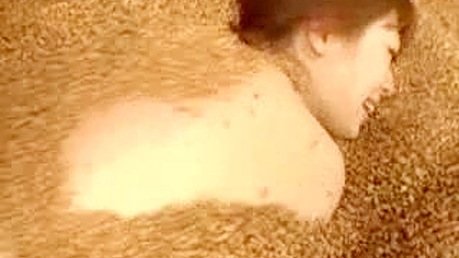 用我们的亚洲色情视频收藏滋养你的欲望吧