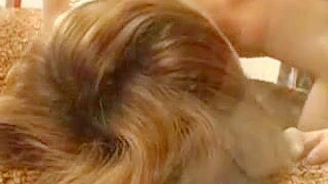 用我们的亚洲色情视频收藏滋养你的欲望吧