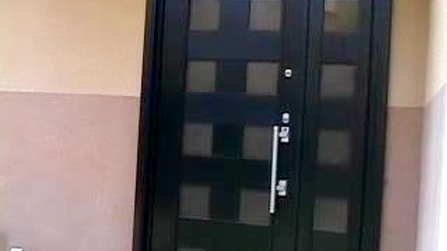 日本熟女被丈夫和兄弟双插入激情性爱体验