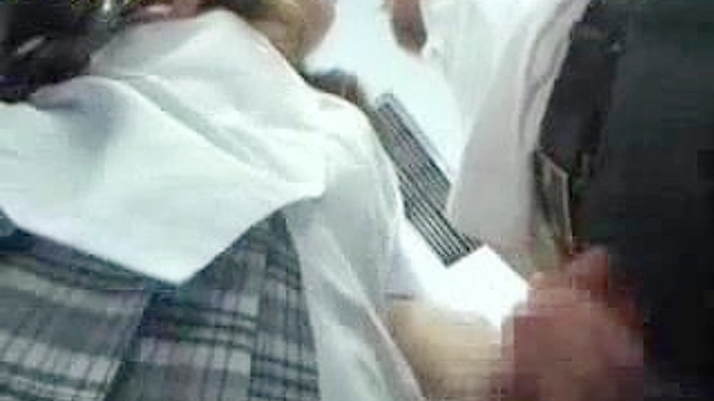 旅途中解扣子的诱惑：一场CFNM冒险之旅