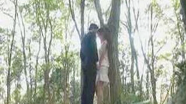 日本森林漫步变身为独自享受快感之旅