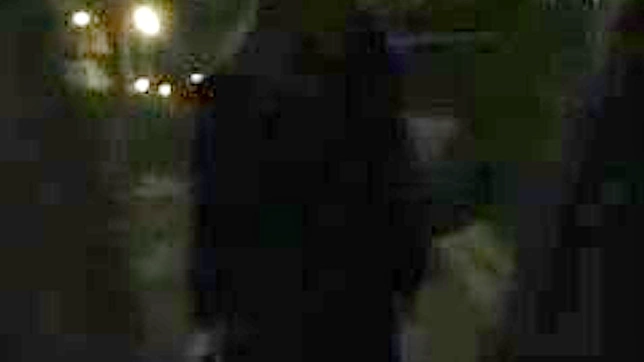 天真亚洲女孩的狂野性爱冒险之旅