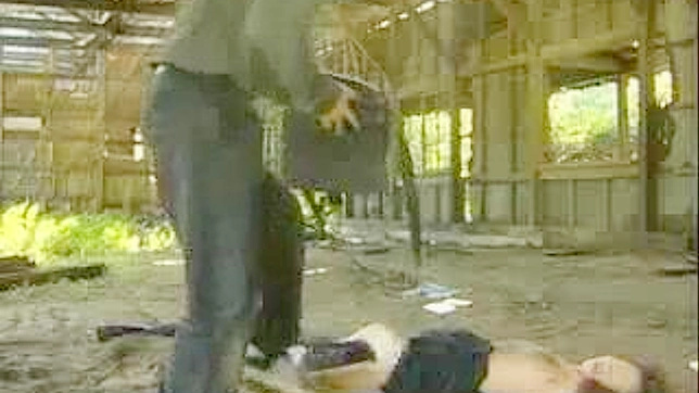 日本性掠夺者的幻想攻击操逼