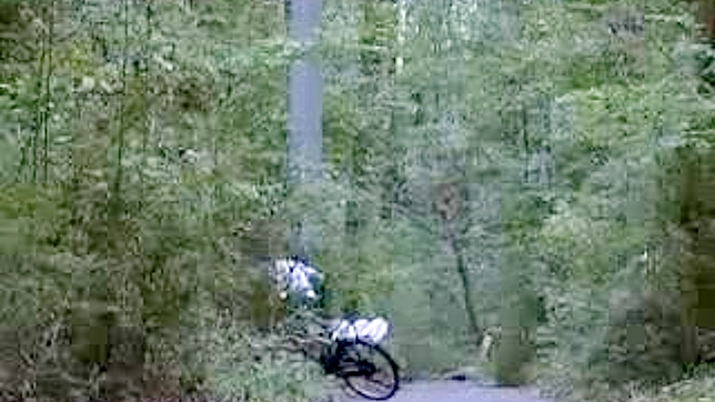 与送货女郎的幻想性爱—无删减JAV视频