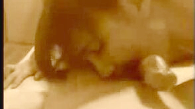 性感亚洲模特私密时刻在泄露视频中曝光