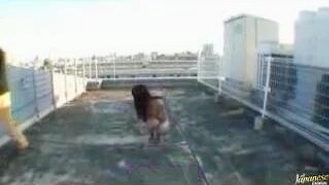 变态男孩在楼顶操弄东方女孩