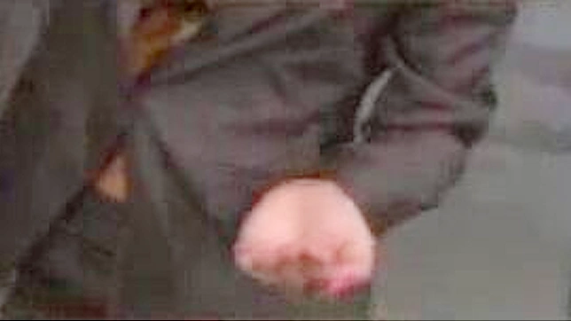 制服情结：探索亚洲女学生的欲望世界