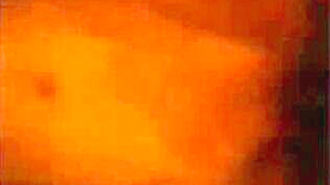 亲密的日本邂逅—JAV成人视频流媒体