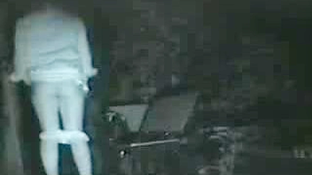 日本绿意盎然的激情户外性爱体验