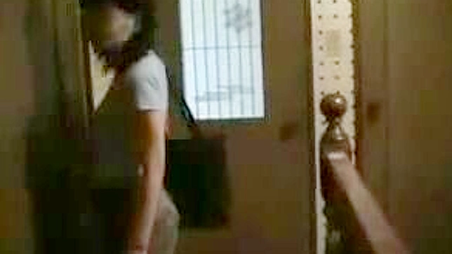 兄弟的拥抱：一场诱人的日本成人片之旅