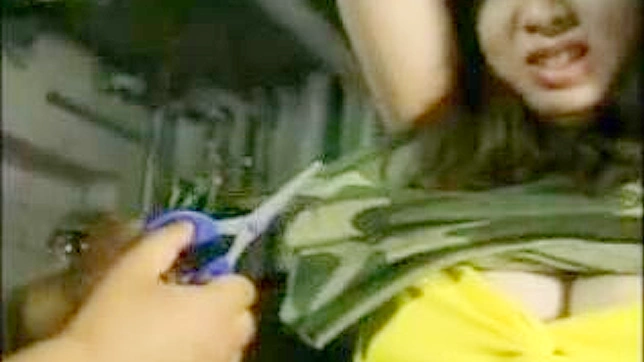 女兵枪械幻想性爱体验