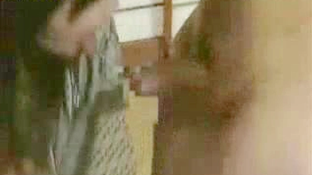 偷情被捉—禁忌的家族秘密