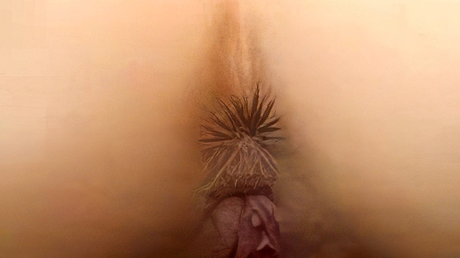 热辣日本女佣在酒店被陌生人狂做爱