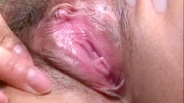 热辣日本美女绽开花穴高清XXX成人视频