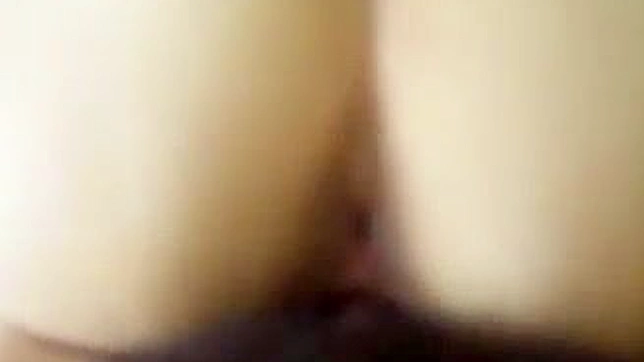 激情 amateur 爱爱实录：尖叫声中高潮不断与完美身体碰撞