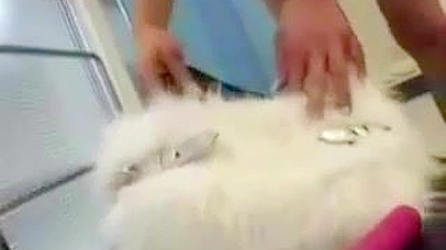 老师的性感课程：高潮瞬间在XXX课堂中揭露