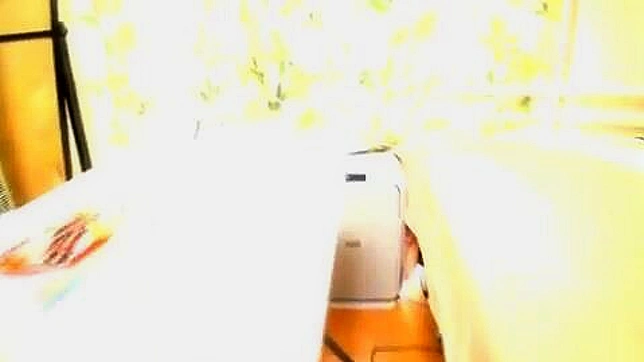 热情棕发女郎性爱如职业选手—XXX视频