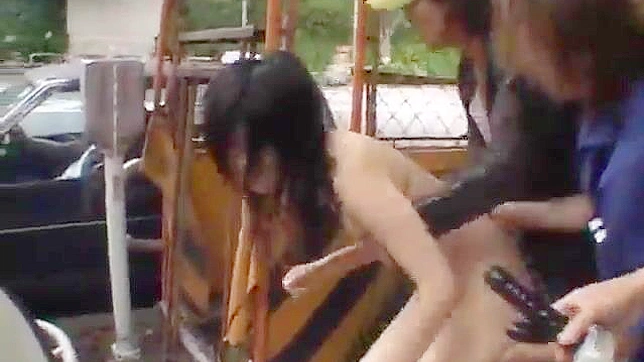 释放内心欲望：克服害羞的另类指南