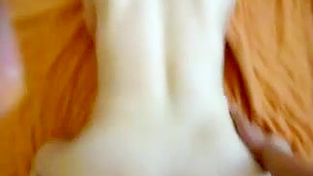 多汁的日本情侣在XXX动作中疯狂做爱！